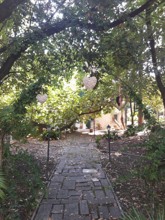 Il Gatto E Il Violino Villa Lido di Fermo Exteriör bild