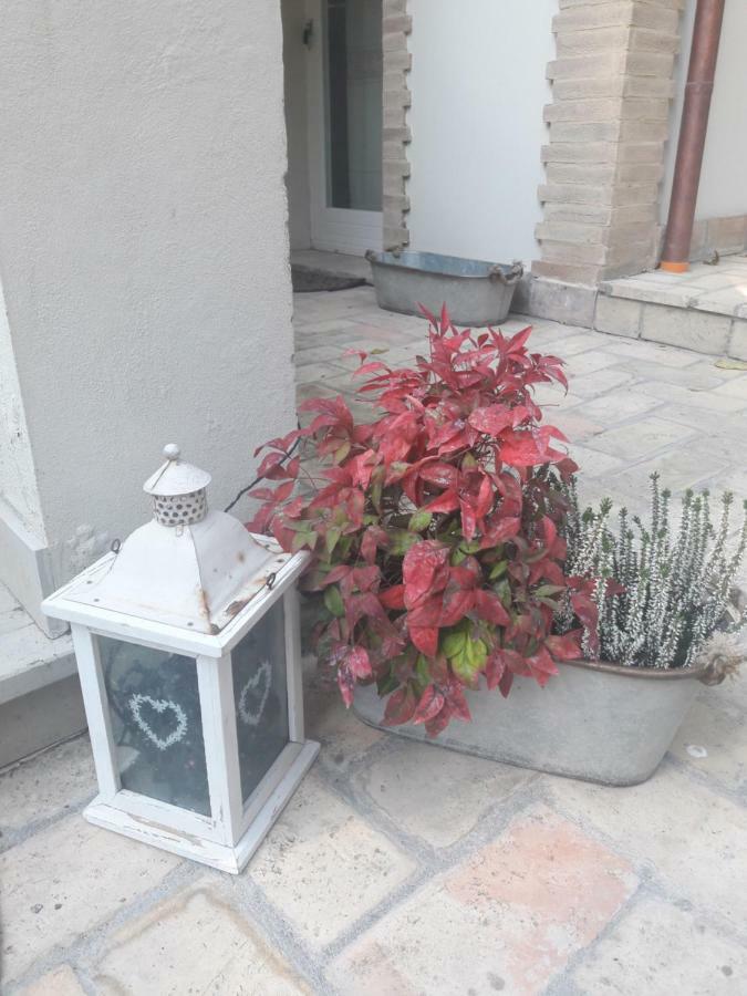 Il Gatto E Il Violino Villa Lido di Fermo Exteriör bild