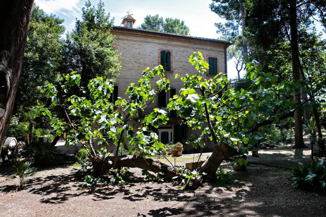 Il Gatto E Il Violino Villa Lido di Fermo Exteriör bild